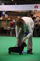 Crufts2011_2 1408